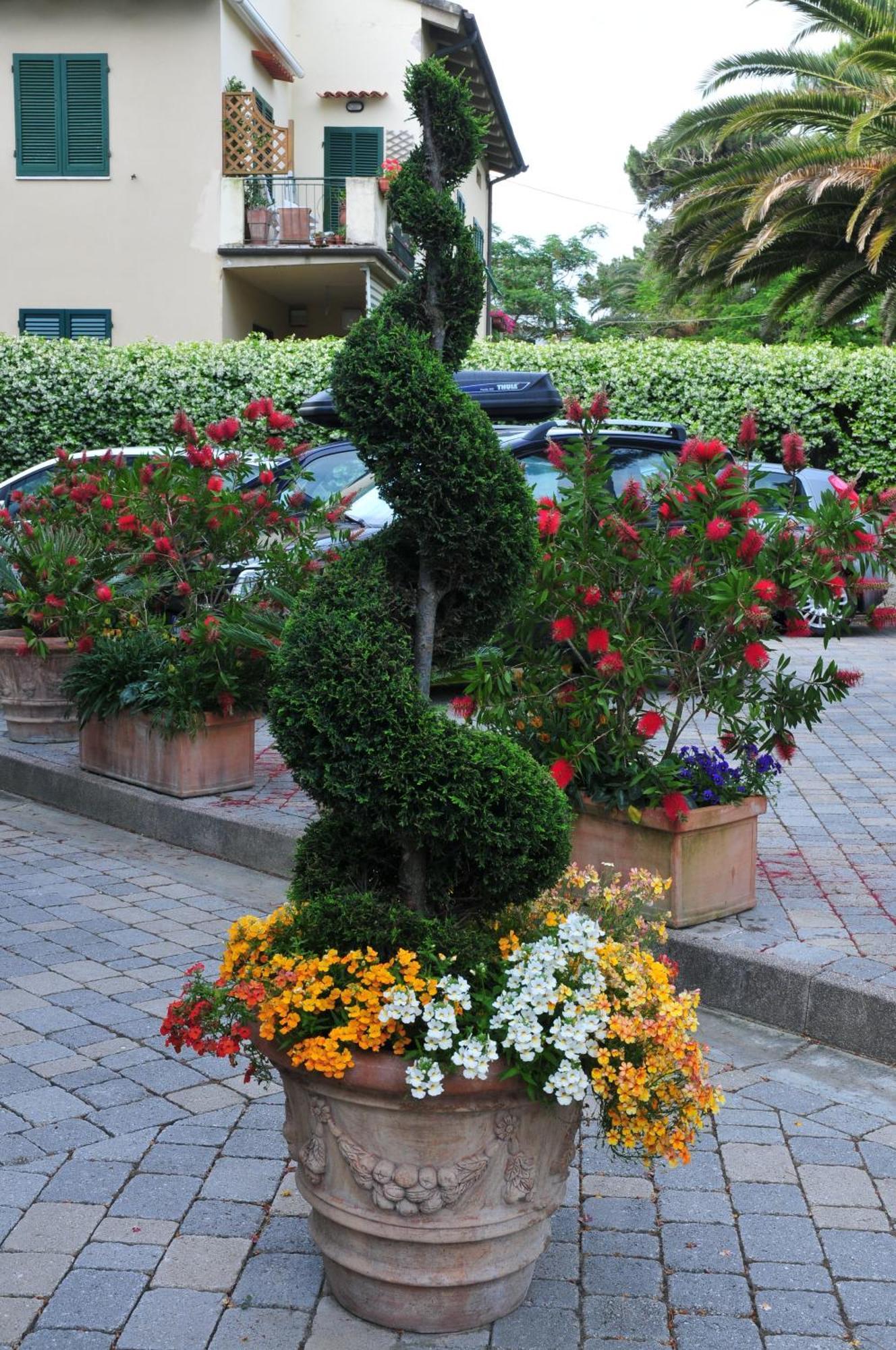 Hotel Riviera Blu Tirrenia Exterior photo